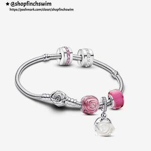 Pandora Nothing Compares To You Charms and Bracelet Set